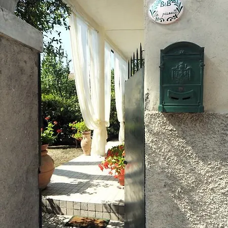La Piazzetta *