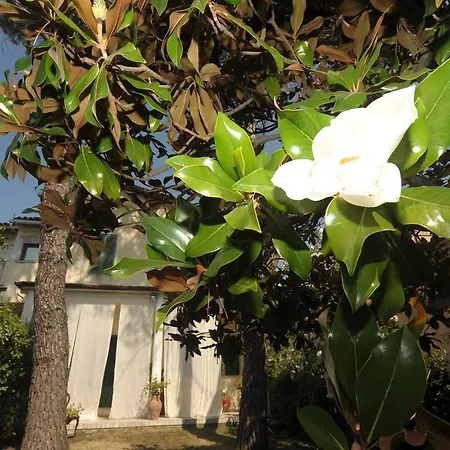 Bed & Breakfast La Piazzetta